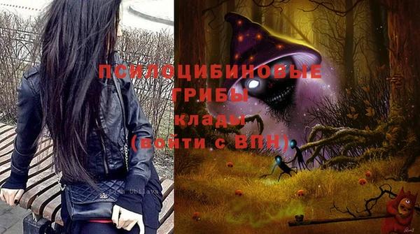 Альфа ПВП Беломорск